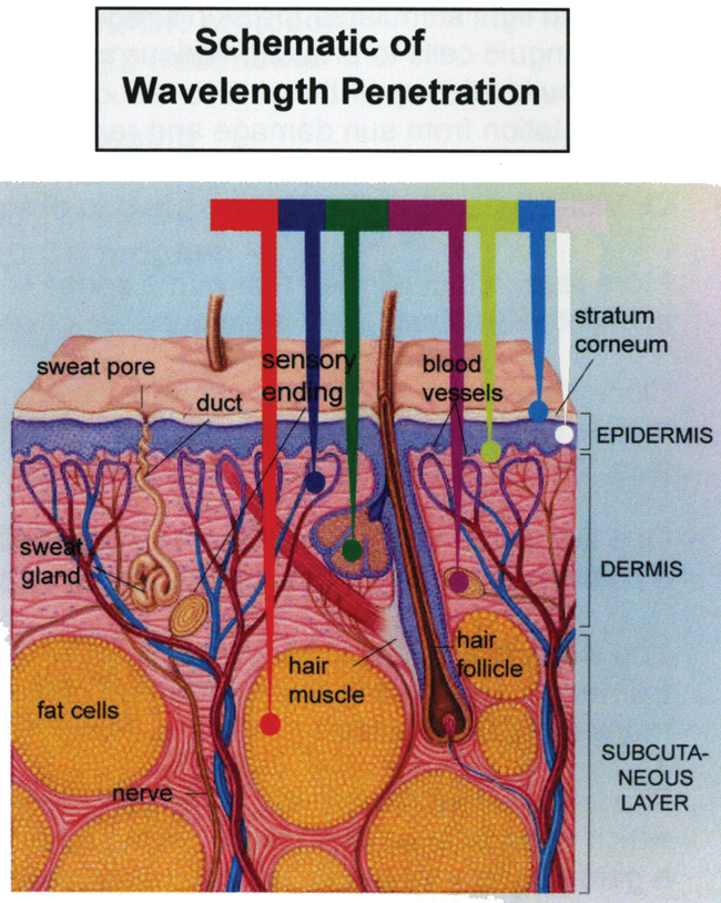 wavelengthpenetration